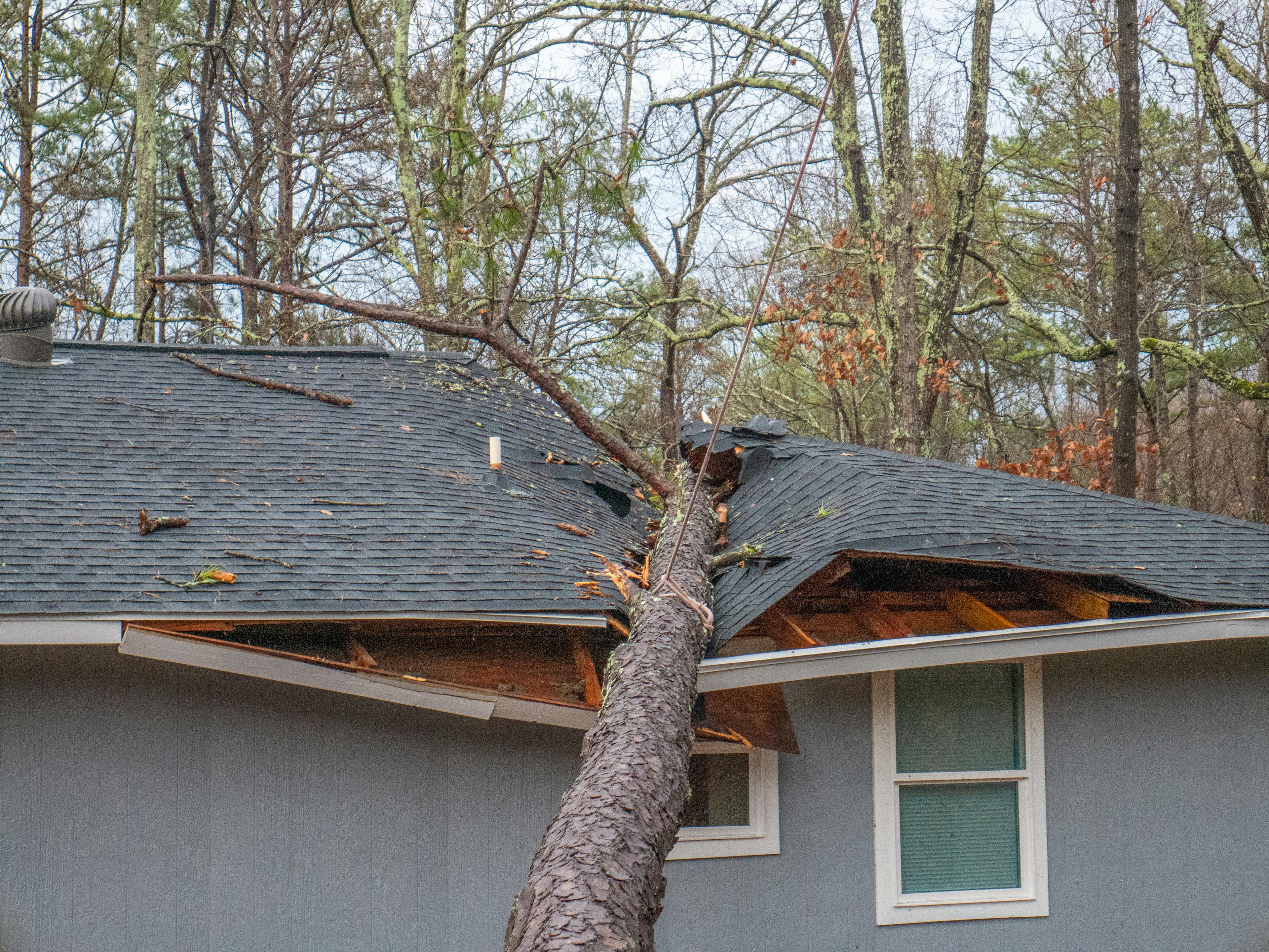 Storm Damaged roof with tree down on it.